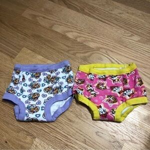 Paw Patrol Training Underwear Sz 3T Skye Everest Bundle Lot Girls